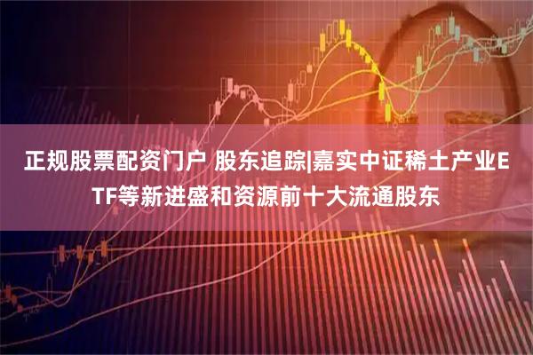 正规股票配资门户 股东追踪|嘉实中证稀土产业ETF等新进盛和资源前十大流通股东