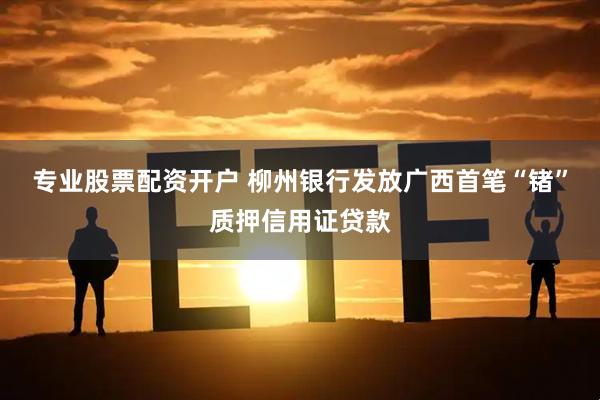 专业股票配资开户 柳州银行发放广西首笔“锗”质押信用证贷款