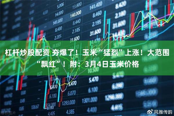 杠杆炒股配资 夯爆了！玉米“猛烈”上涨！大范围“飘红”！附：3月4日玉米价格